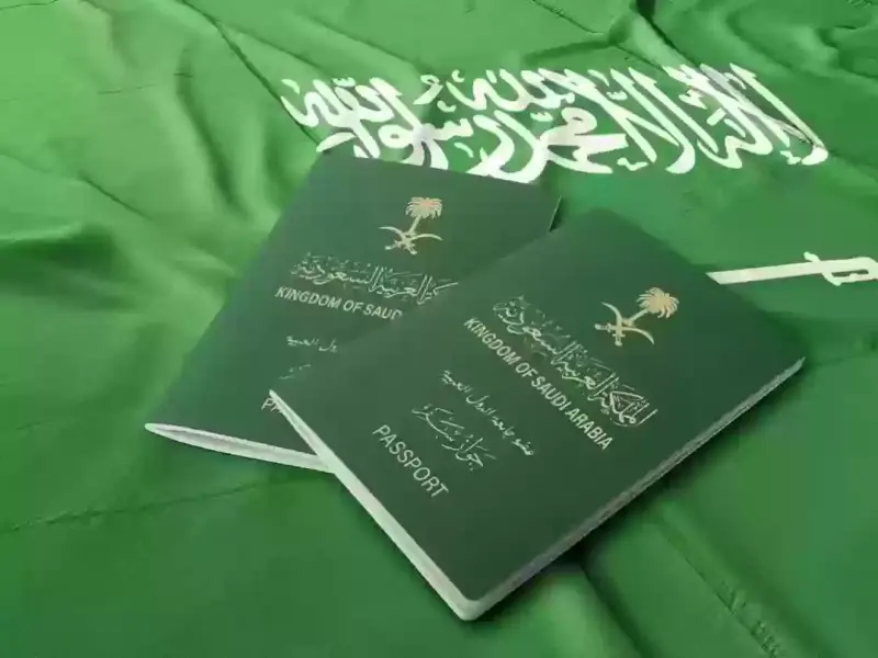 إصدار تأشيرات الزيارة