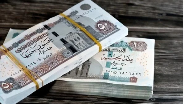 d985d8b9d8a7d8b4d8a7d8aa صرف معاشات شهر نوفمبر
